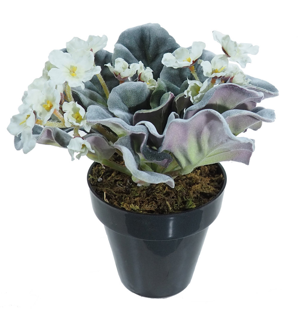 2920290A.jpg Violeta Luxe crema M - Ø10x20cm. - Imagen 1