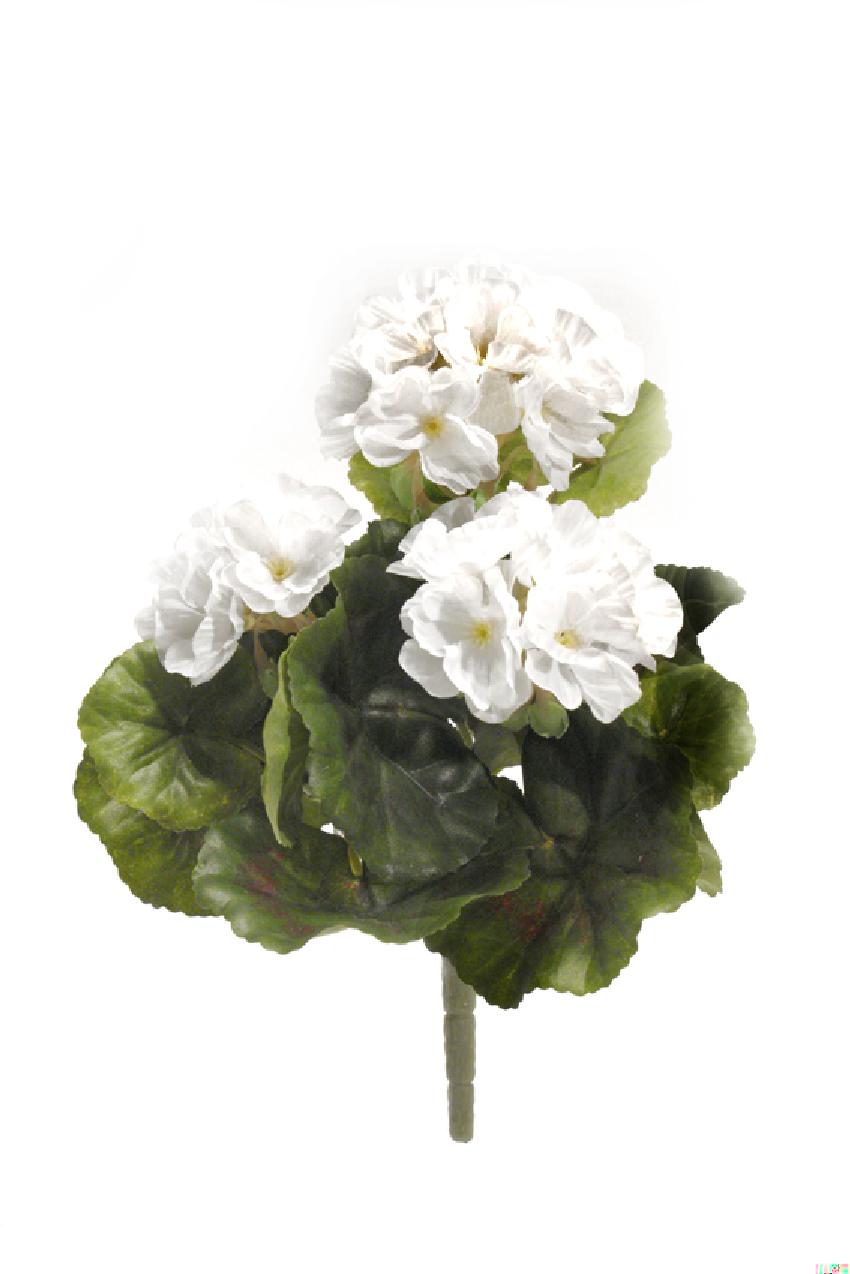 2920400.jpg Geranio P. blanco - 22cm - Imagen 1