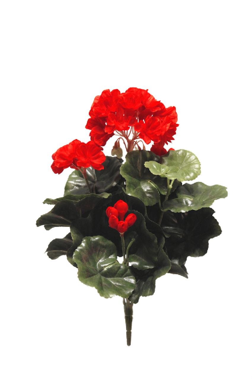 2920755.jpg Geranio rojo Med. - 32cm - Imagen 1