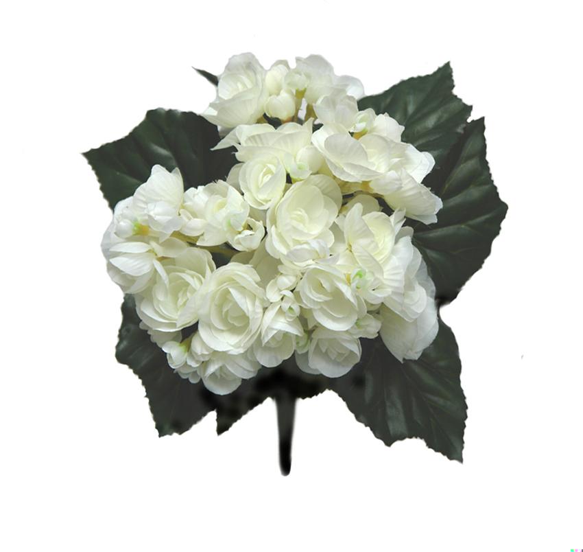 2920790.jpg Begonia crema - 25cm - Imagen 1