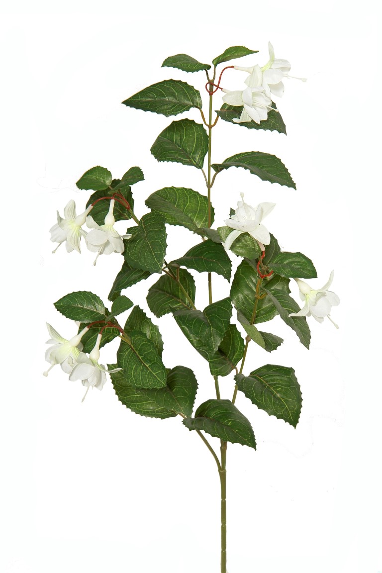 2920830.jpg Rama de Fuchsia blanca - 75cm - Imagen 1