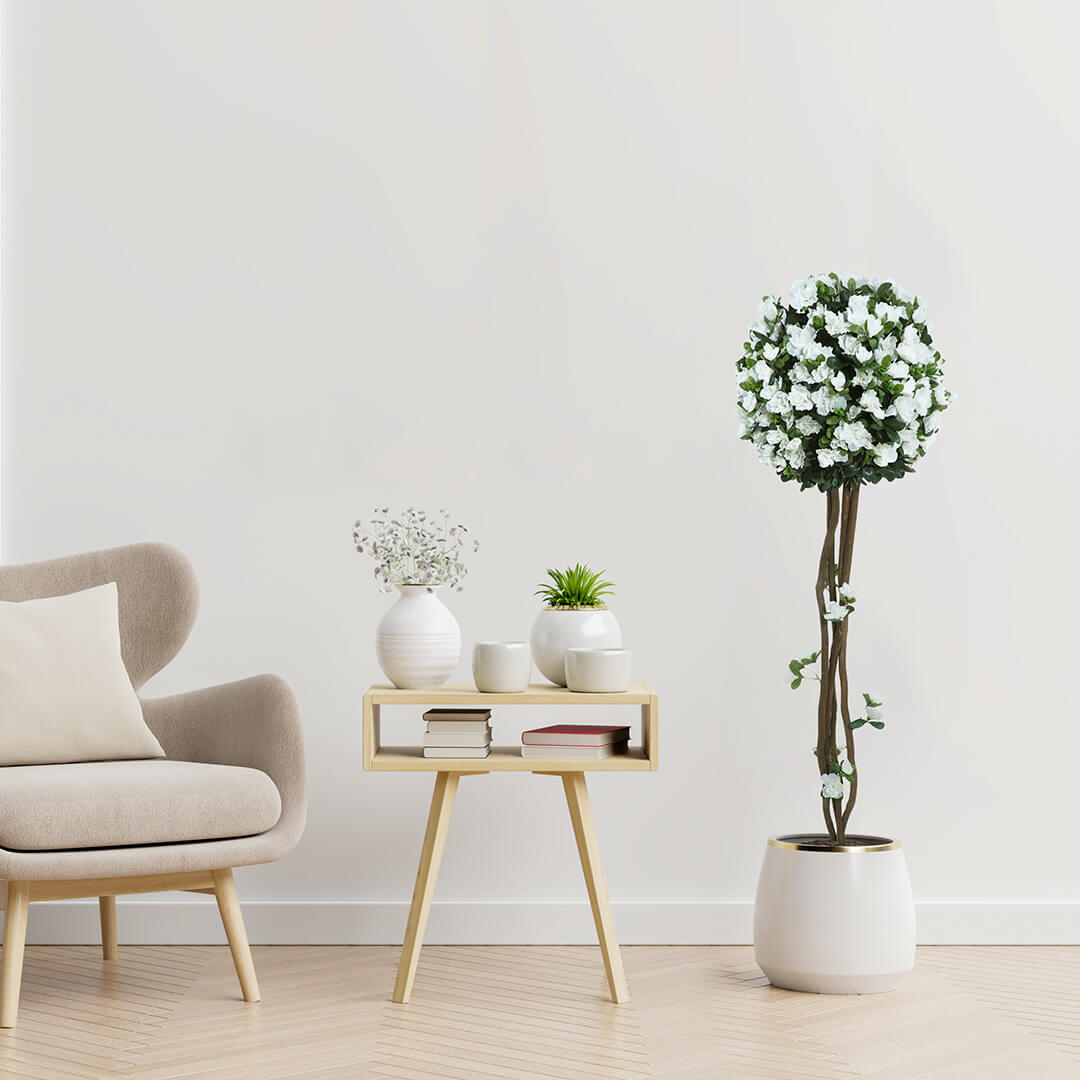 3522212.jpg Árbol de Azalea crema bola - Imagen 1