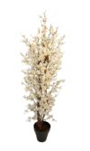 Arbol de Almendro Crema tronco trenzado - Imagen 2