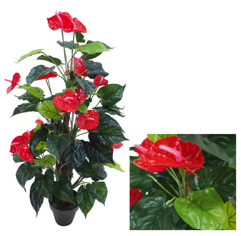 3570002.jpg Arbol de anturium rojo - Imagen 1