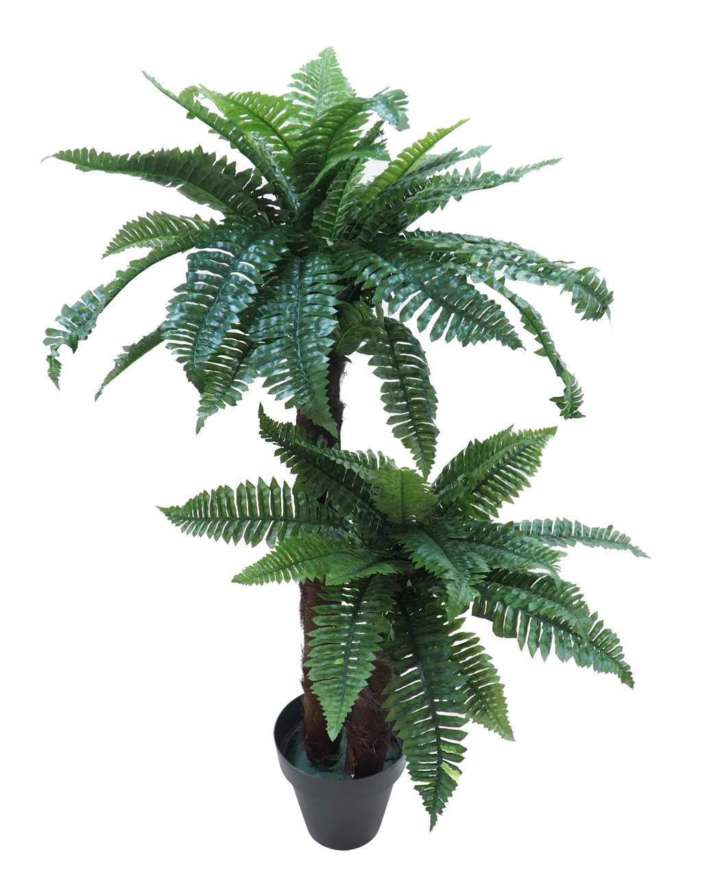 3585412.jpg Helecho Natural tronco tropical 2 troncos - 120cm - Imagen 1