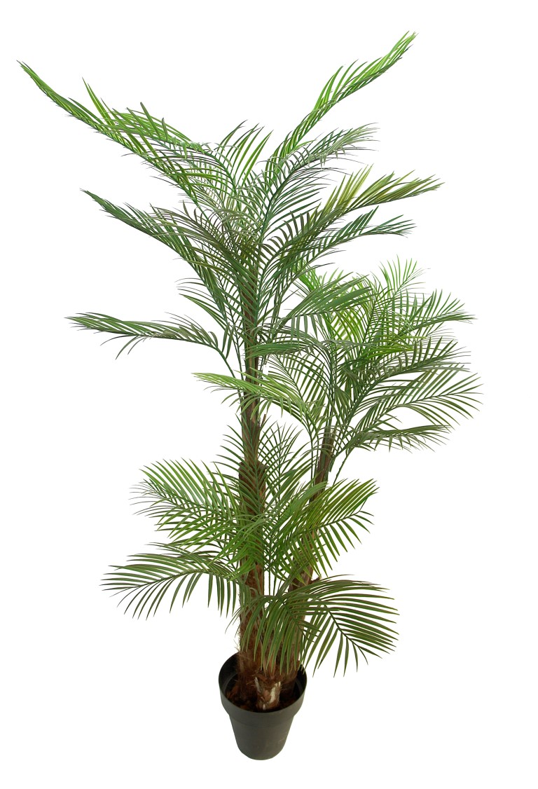 3588324.jpg Areca Oasis plastico 3 troncos tropicales - 260cm - Imagen 1