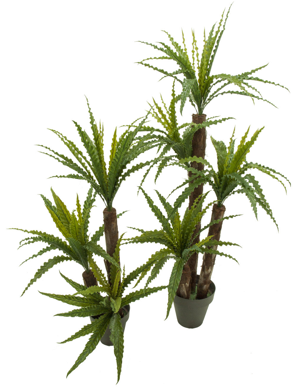 3593512.jpg Asplenium plastico tronco tropical - 120cm - Imagen 1