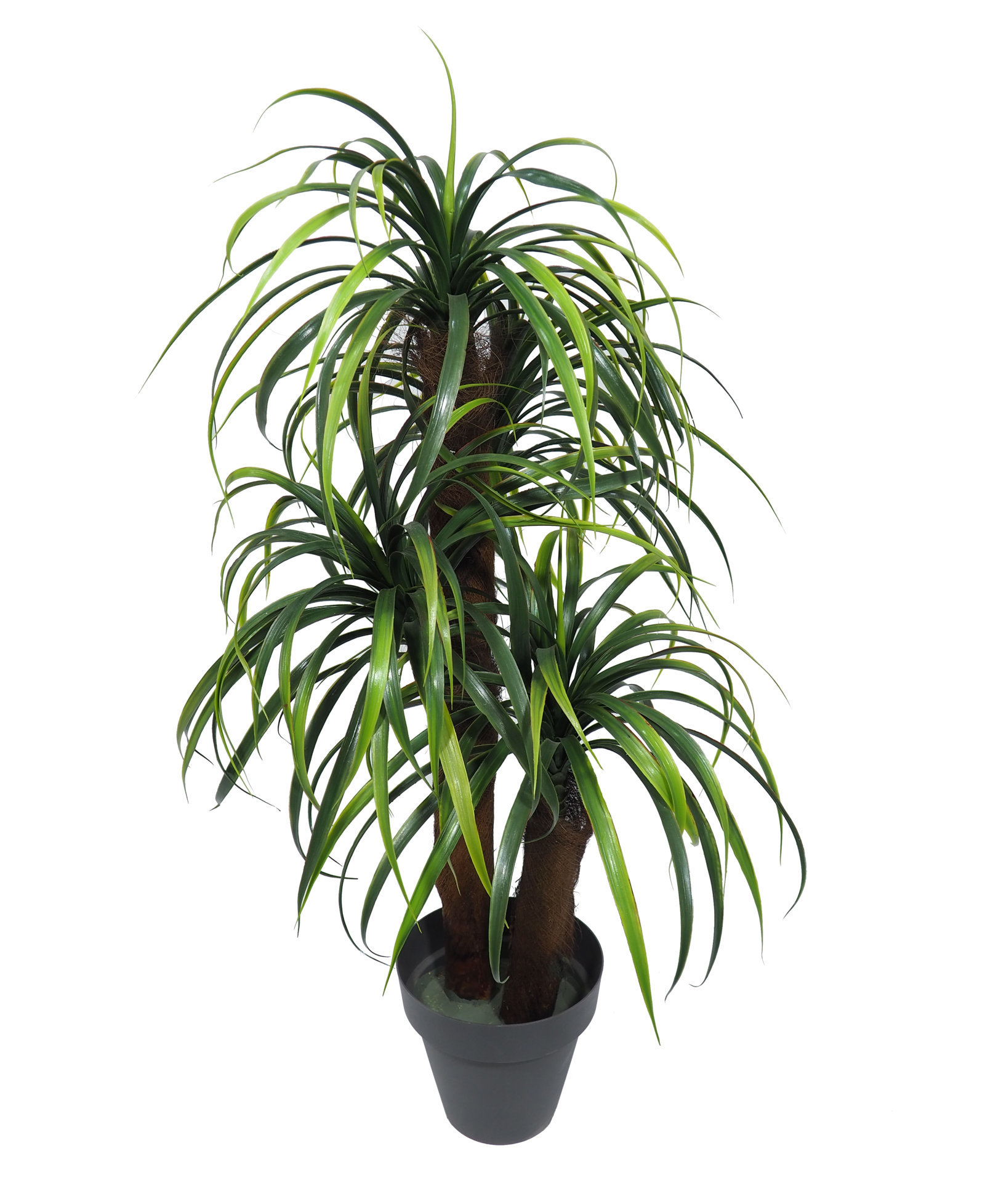 3594412.jpg Yuca Verde/Rojo 2 Troncos Tropicales - 115cm - Imagen 1