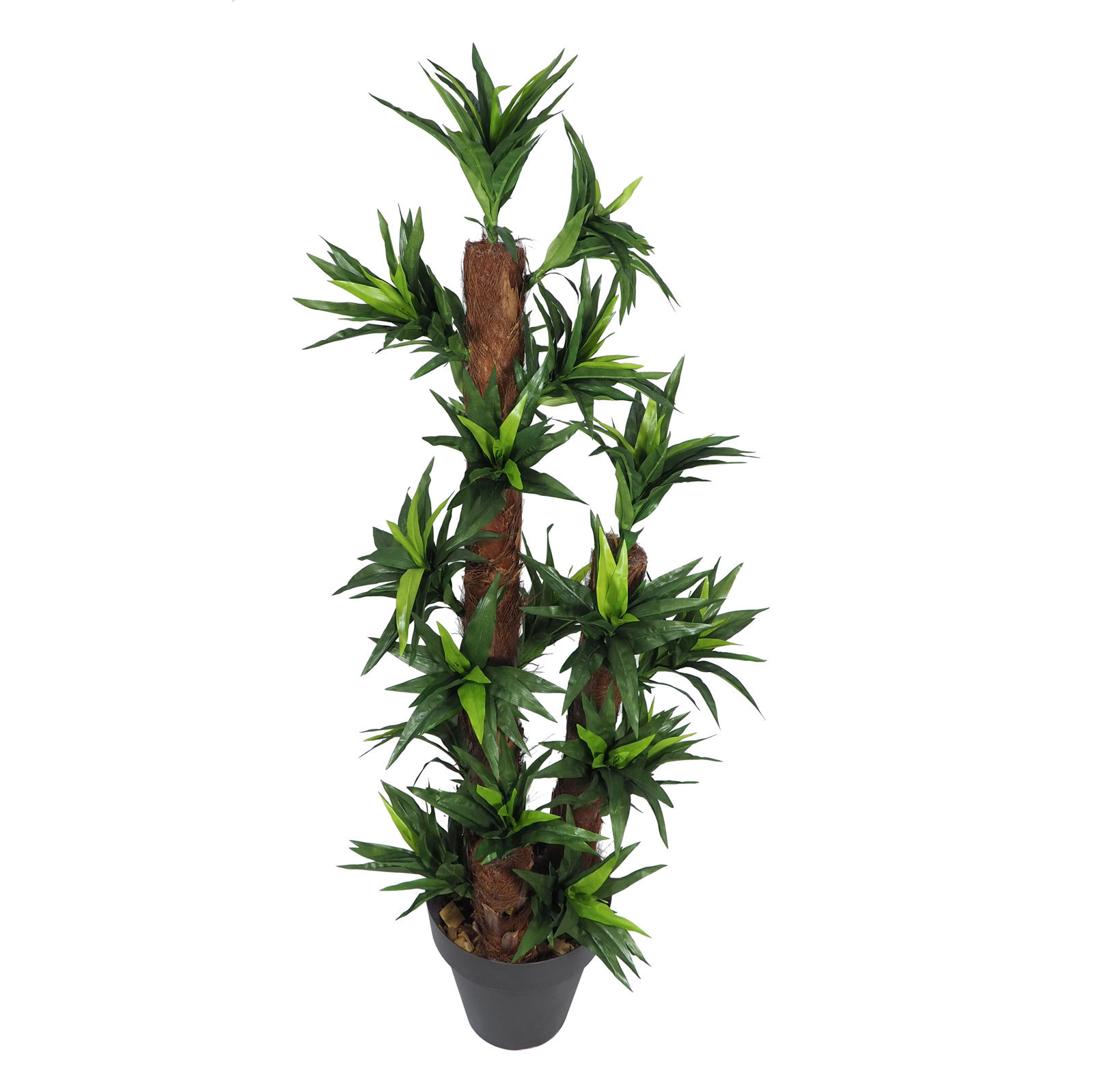 3597313Z.jpg Dracena reflexa 3 troncos tropicales - 135cm - Imagen 1