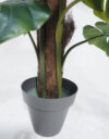 Costilla de Adan Luxe con maceta - 120cm. - Imagen 3