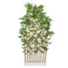 Seto de bambu Japones Nat. Piramide. 100x40x180cm