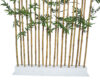 Seto de bambu Japones Nat. Piramide. 100x40x180cm - Imagen 4