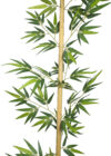 Caña de bambu Decora natural - 220cm