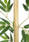 Caña de bambu Decora natural - 220cm - Imagen 3