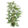 Bambu Decora 1 cara natural