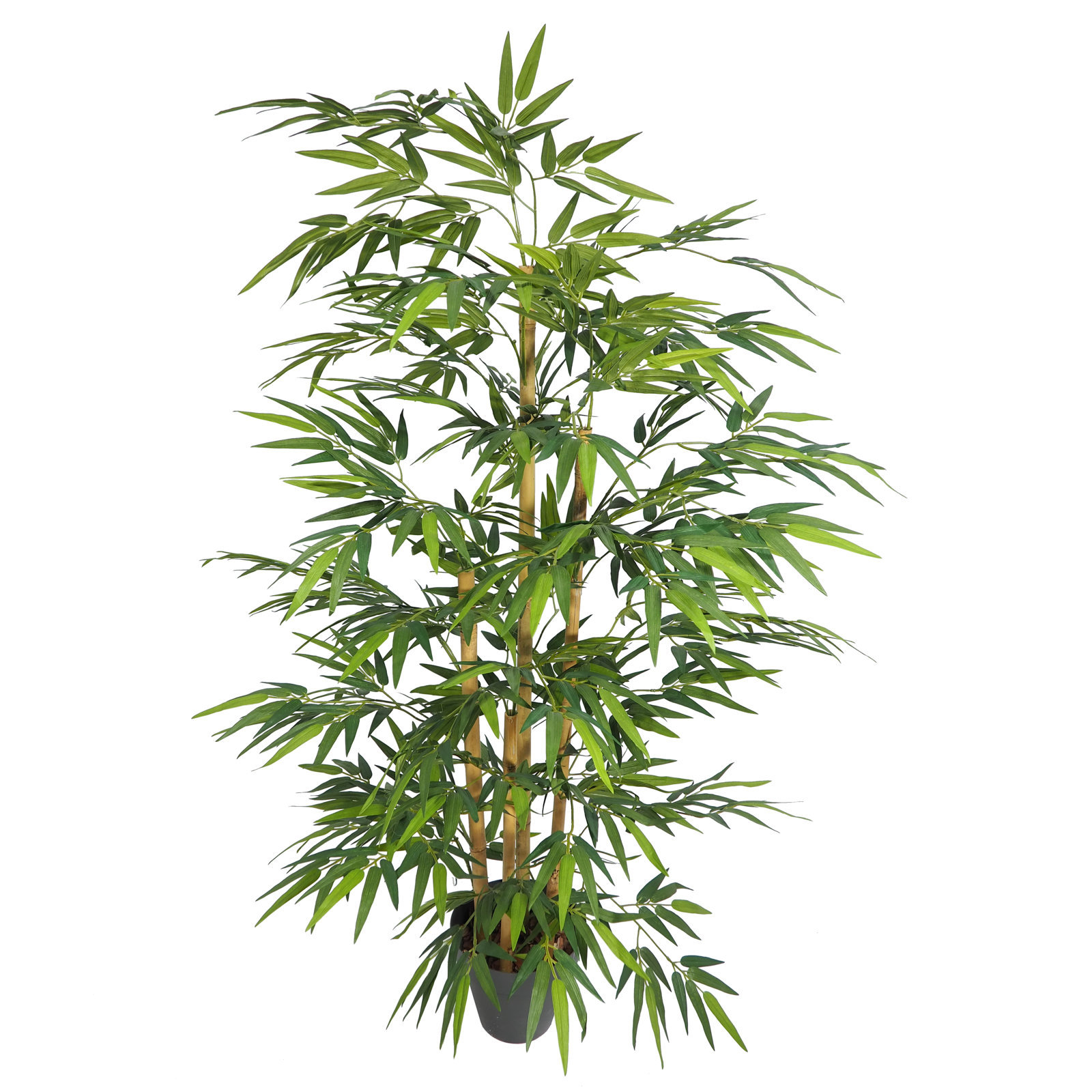 3639915 Bambu Decora 1 cara natural - Imagen 1