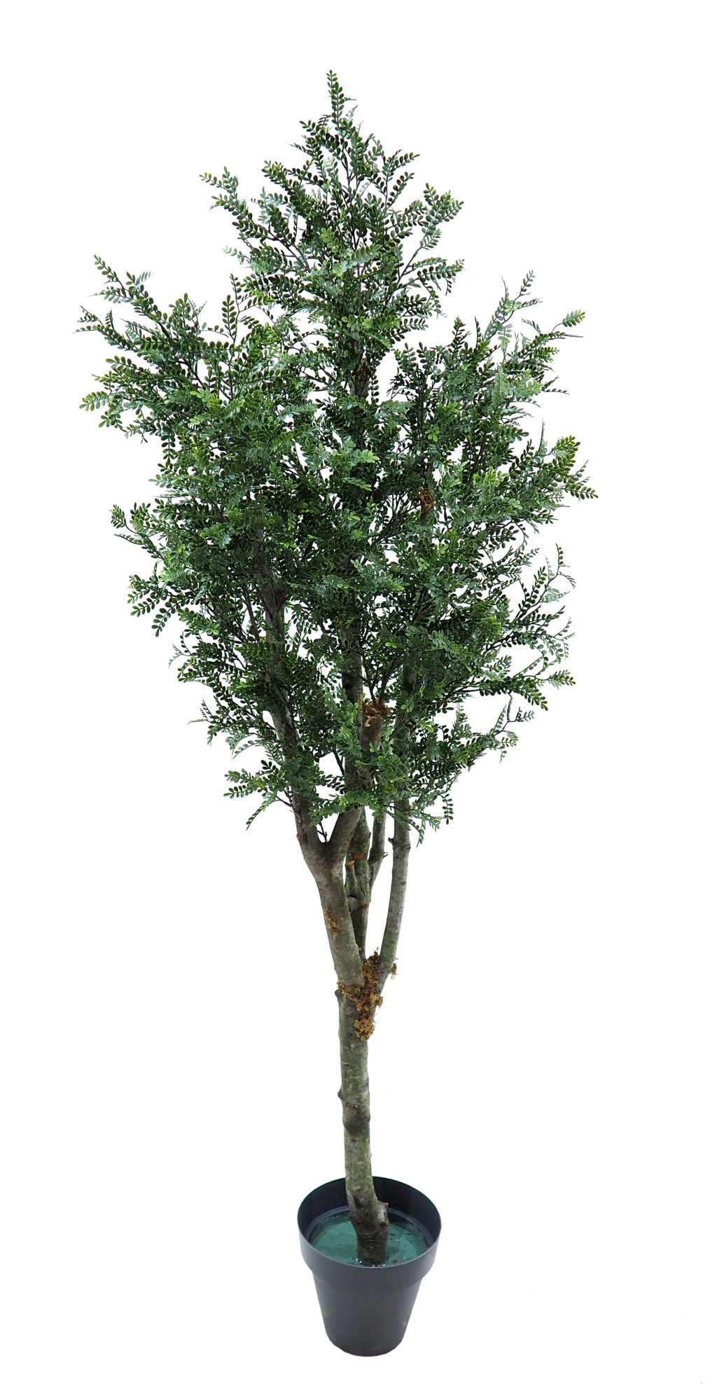 3649412.jpg Arbol de Algarrobo plastico Natur - Imagen 1
