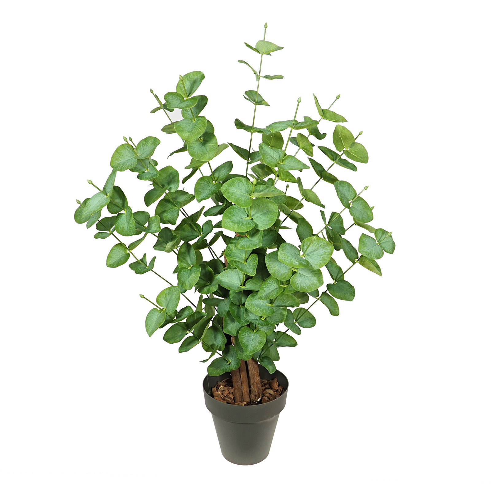 3650208.jpg Árbol de Eucaliptus Verde Tronco Trenzado - 80cm - Imagen 1