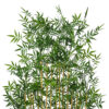 Seto de bambu plás. Piramidal natur - 100x40x200cm - Imagen 2