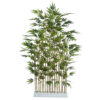 Seto de bambu Decora nat.piramide -100x40x180cm