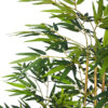 Seto de bambu Decora nat.piramide -100x40x180cm - Imagen 2