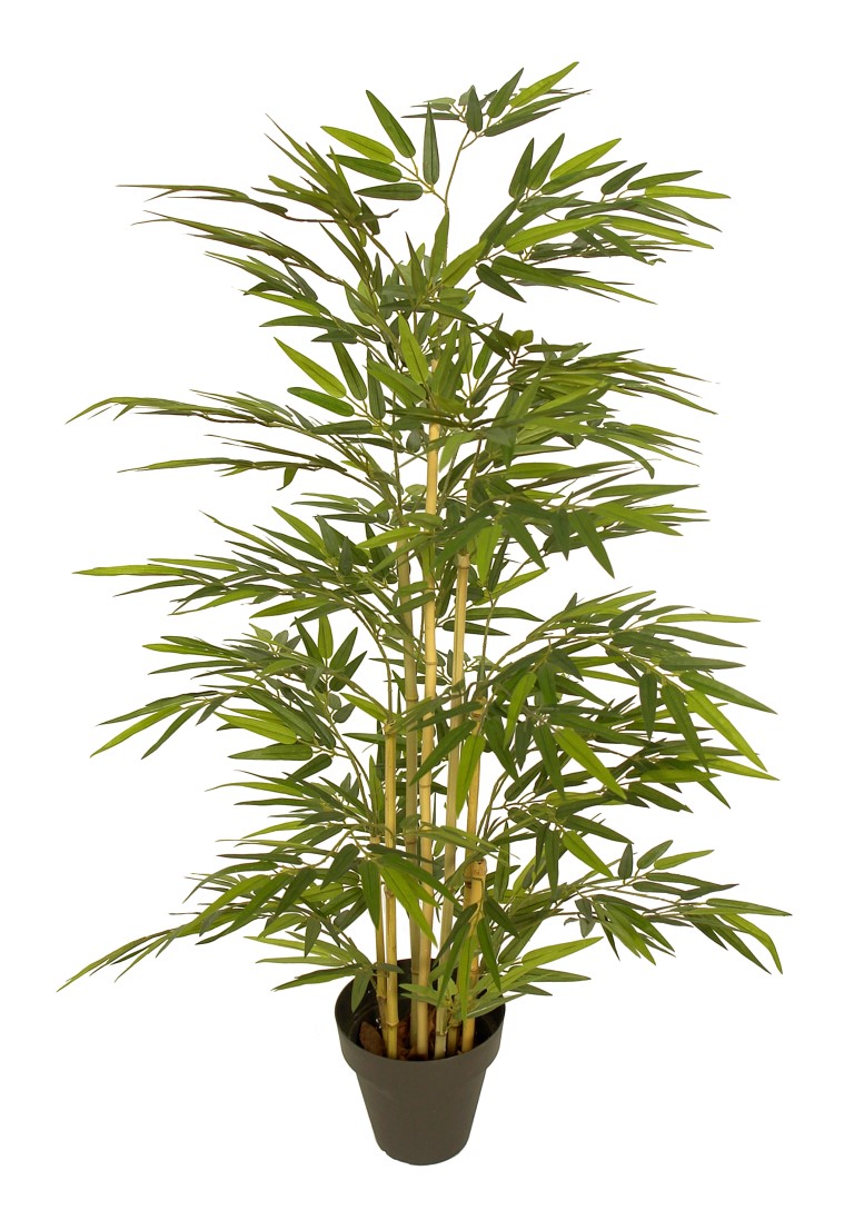 3659911.jpg Bambu Decora redondo - Imagen 1