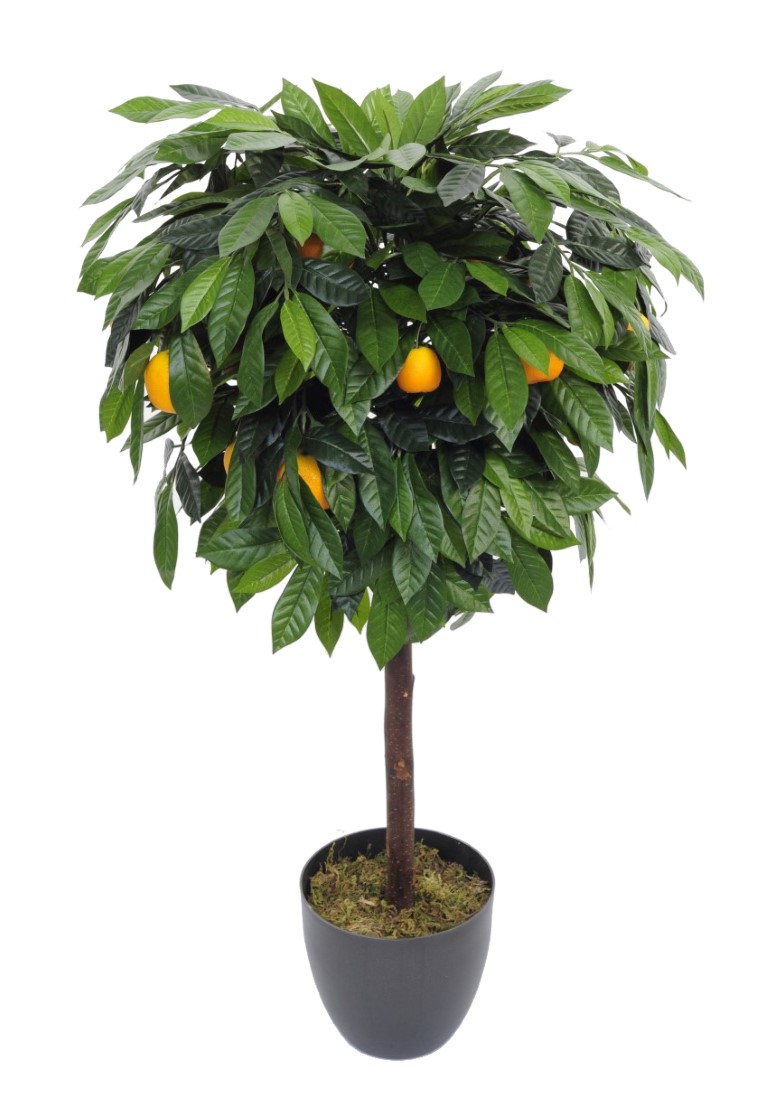 3671109-2.jpg Arbol bola Naranjo tronco recto - Ø60x85cm - Imagen 1