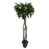 Arbol de Naranjo bola tronco trenzado - Ø70x150cm