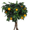 Arbol de Naranjo bola tronco trenzado - Ø70x150cm - Imagen 2