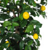 Arbol Limonero tronco trenzado - Imagen 2