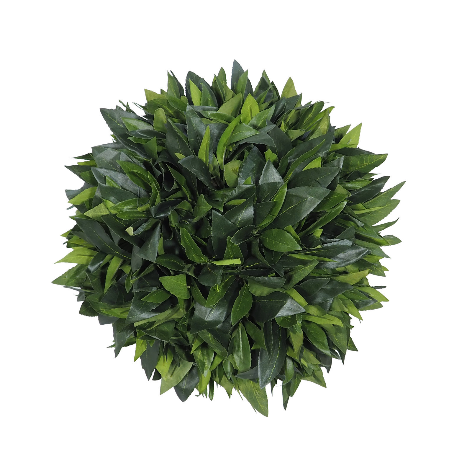 3675610.jpg Bola de laurel - Imagen 1