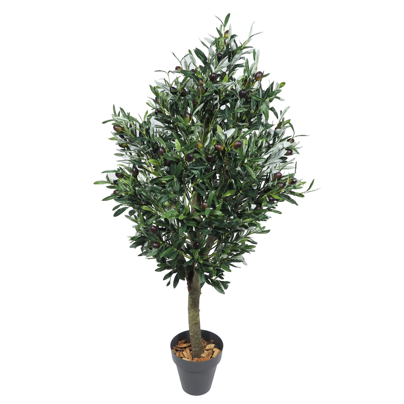 3686612.jpg Arbol de Olivo Natur -120cm. - Imagen 1