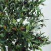 Arbol de Olivo Natur -120cm. - Imagen 2