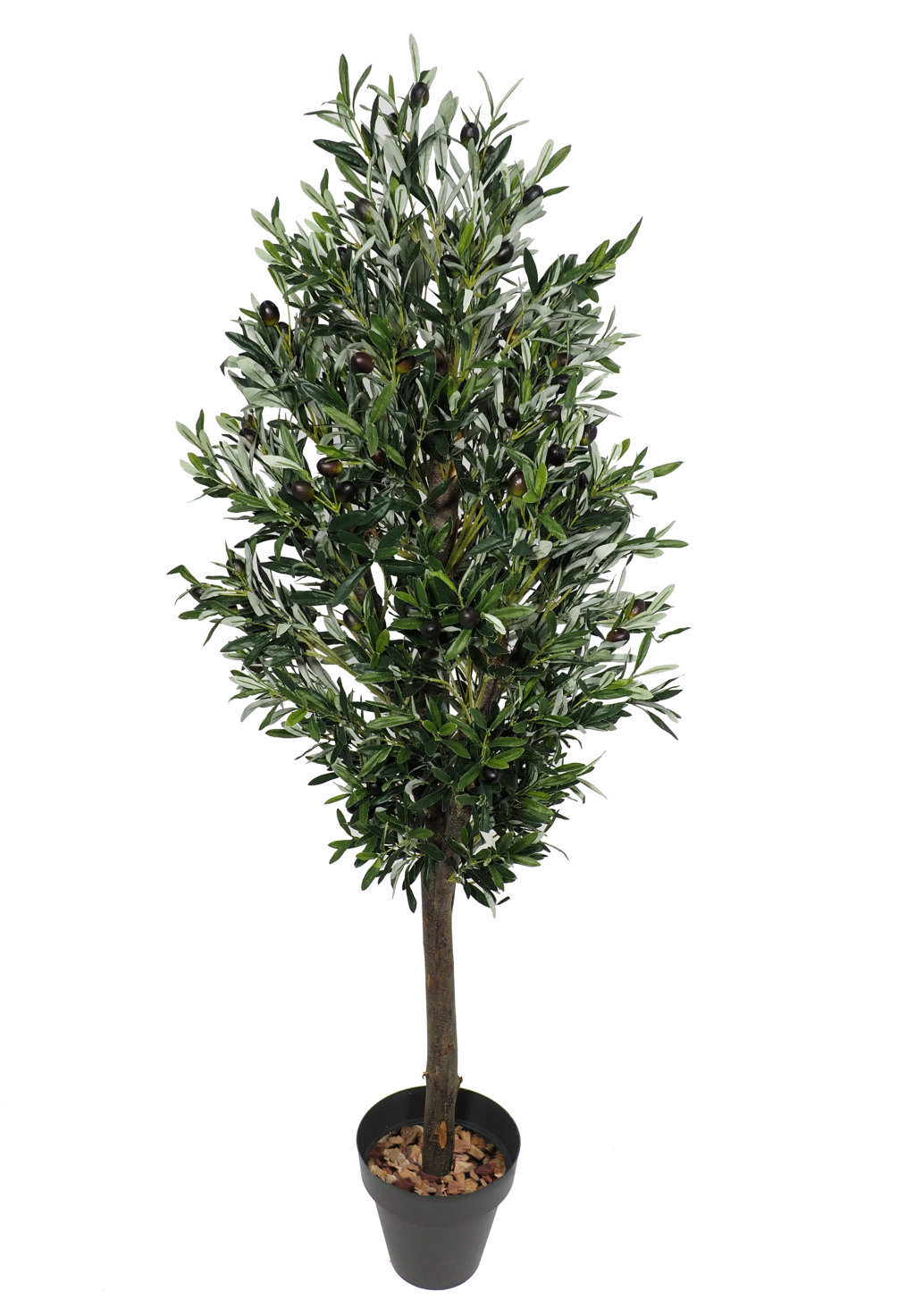 3686615.jpg Arbol de Olivo Natur -150cm. - Imagen 1
