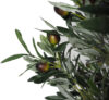 Arbol de Olivo Natur -150cm. - Imagen 2
