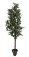 Arbol de Olivo Natur -180cm.