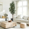 Arbol de Olivo Natur -210cm.