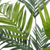 Kentia Tropic montada con maceta - 210cm - Imagen 2