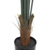 Kentia Tropic montada con maceta - 210cm - Imagen 3