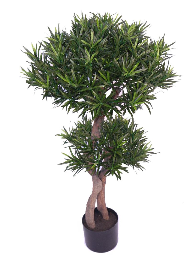 4000720.jpg Podocarpus verde con maceta - 100cm - Imagen 1