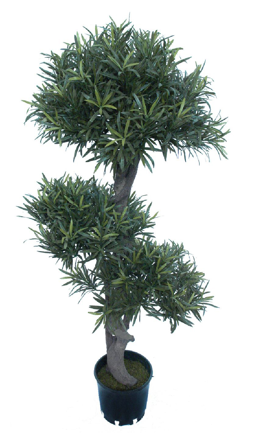 4000721.jpg Podocarpus verde con maceta - 130cm - Imagen 1