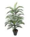 Areca Salvaje con maceta - 120cm