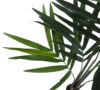 Kentia palm sin montar, incluye maceta - 150cm - Imagen 3