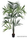 Kentia palm sin montar, incluye maceta - 210cm