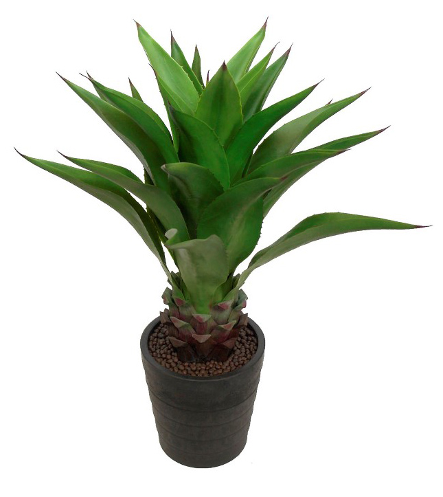 4000811.jpg Agave Verde con maceta - Ø70x85cm - Imagen 1