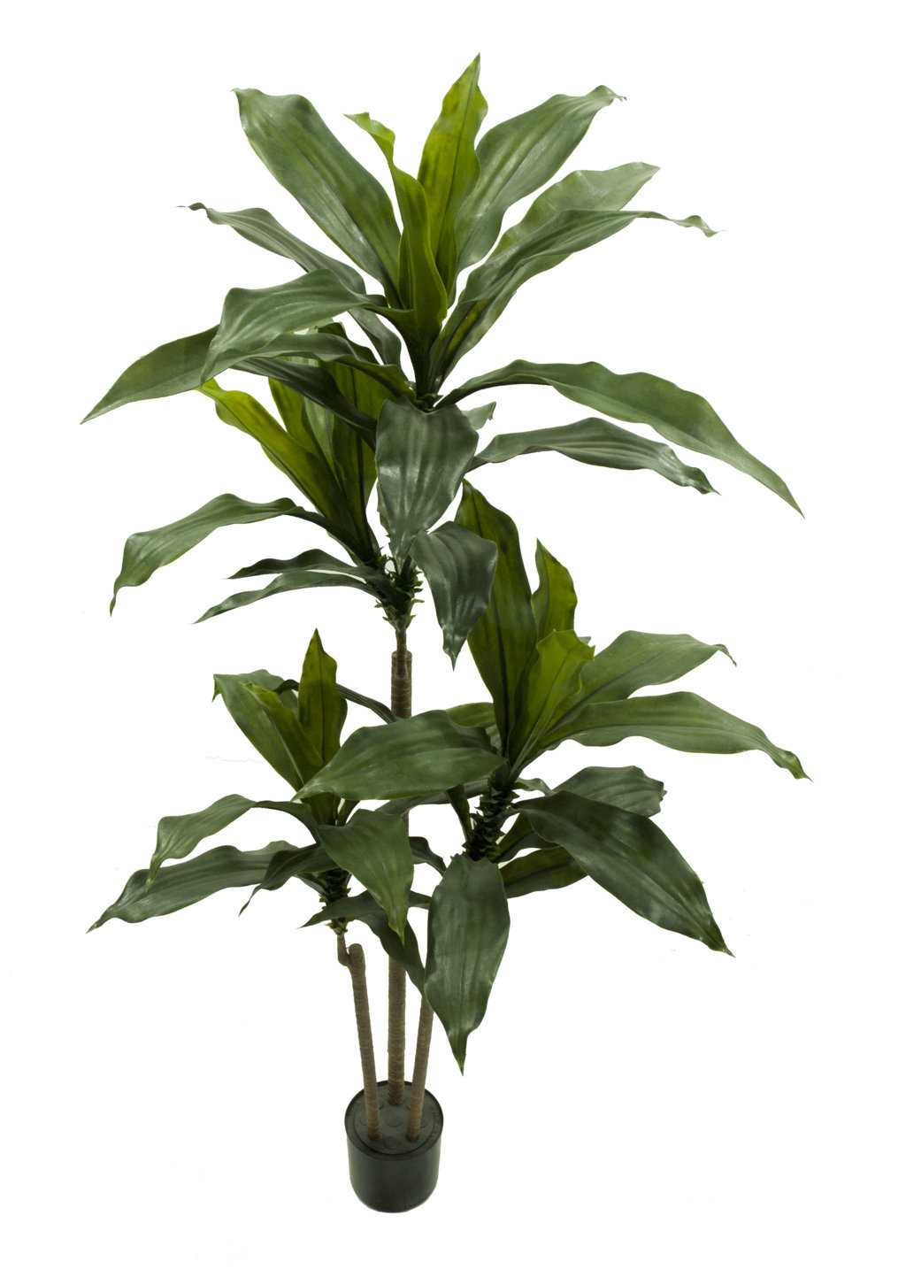 4000830.jpg Dracena verde plastico con maceta -Ø60x150 cm - Imagen 1
