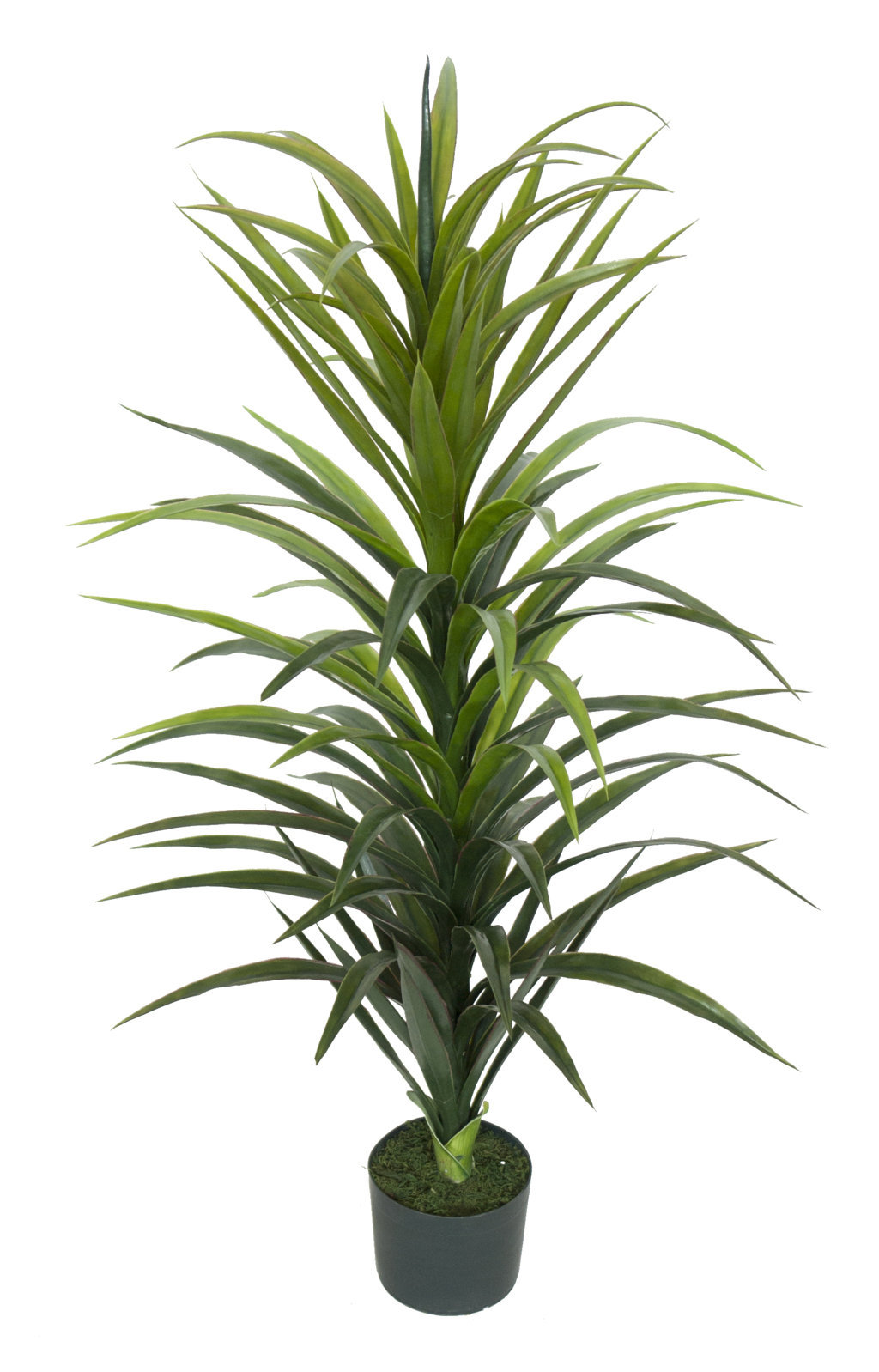 4000850.jpg Yuca verde plastico con maceta - 120cm - Imagen 1