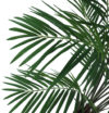 Areca Luxe con maceta (MONTADA) - Imagen 2