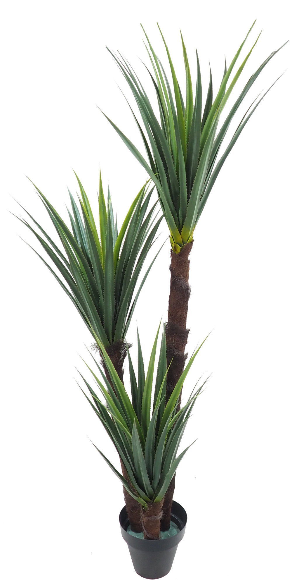 4000880C.jpg Yuca Pandanus 3 troncos tropicales - 230cm - Imagen 1