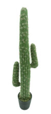 Cactus Mexican 3 tallos con maceta-140cm.